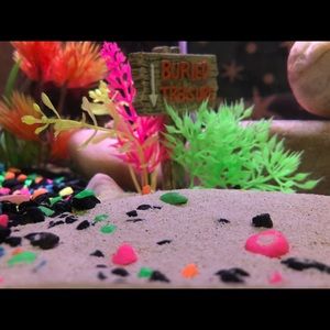 Meet your Posher, Gianna